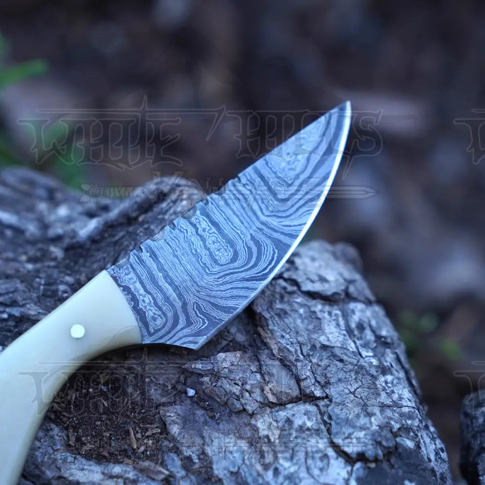 Handmade Damascus Steel Knife - Camel Bone Handle - 5" Full Tang Hunting & Camping Knife - SK-032