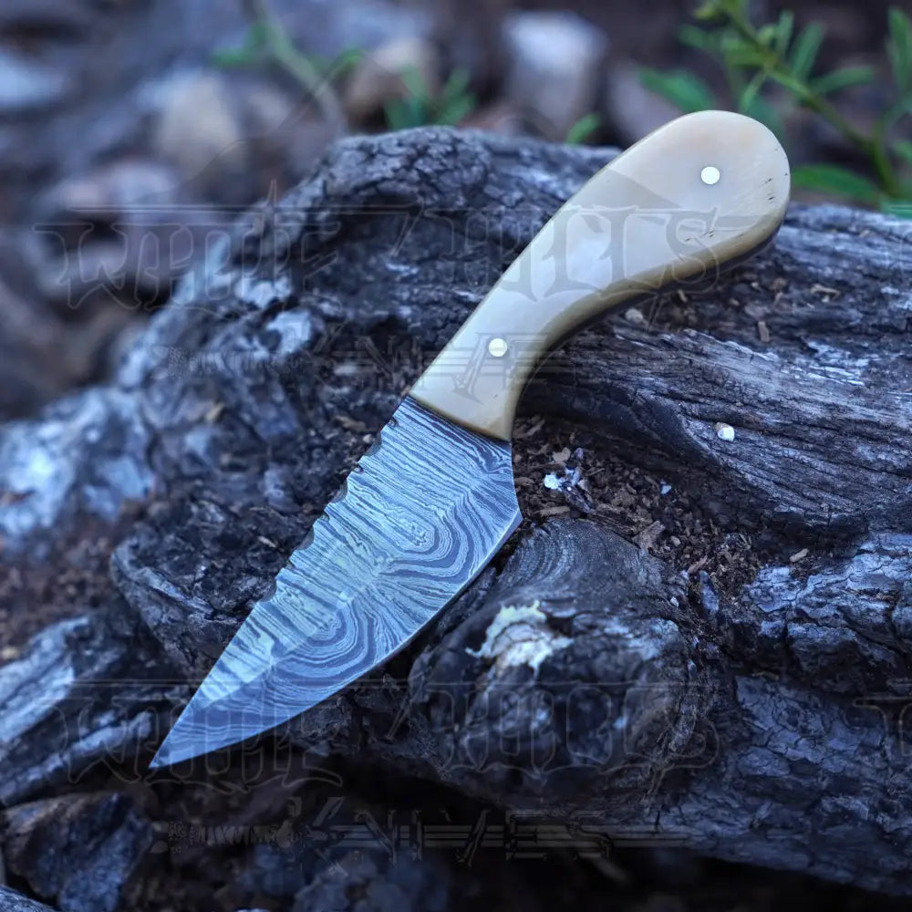 Handmade Damascus Steel Knife - Camel Bone Handle - 5" Full Tang Hunting & Camping Knife - SK-032
