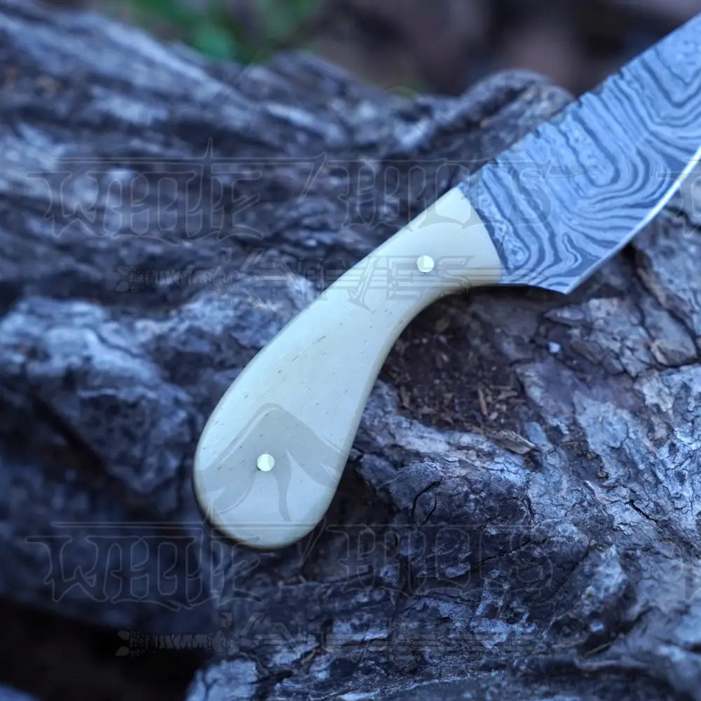 Handmade Damascus Steel Knife - Camel Bone Handle - 5" Full Tang Hunting & Camping Knife - SK-032
