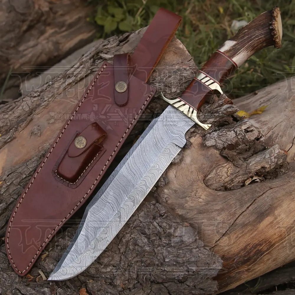 Handmade Forged Damascus Steel Hunting Bowie Rambo Knife with Deer Crown Stag Handle