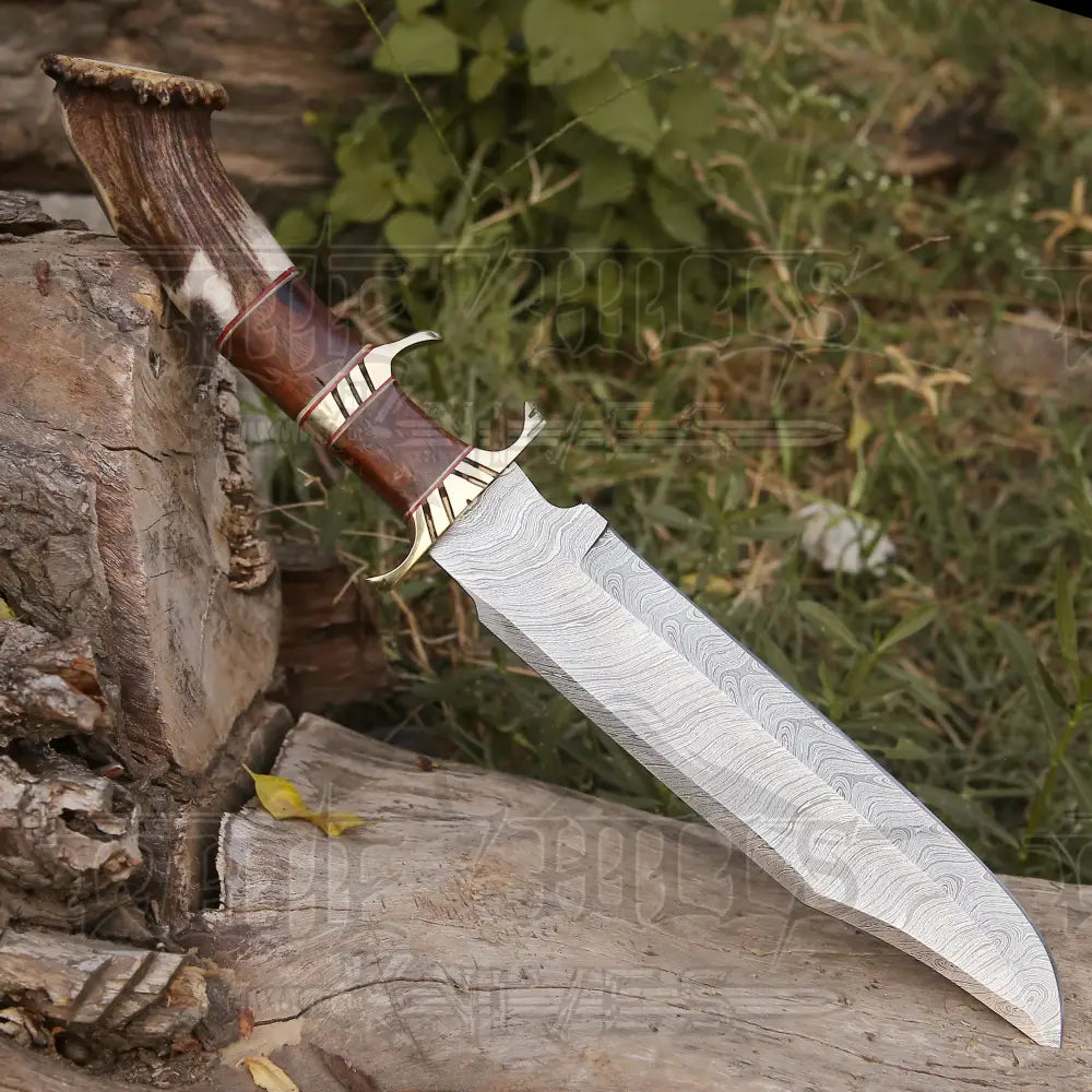 Handmade Forged Damascus Steel Hunting Bowie Rambo Knife with Deer Crown Stag Handle