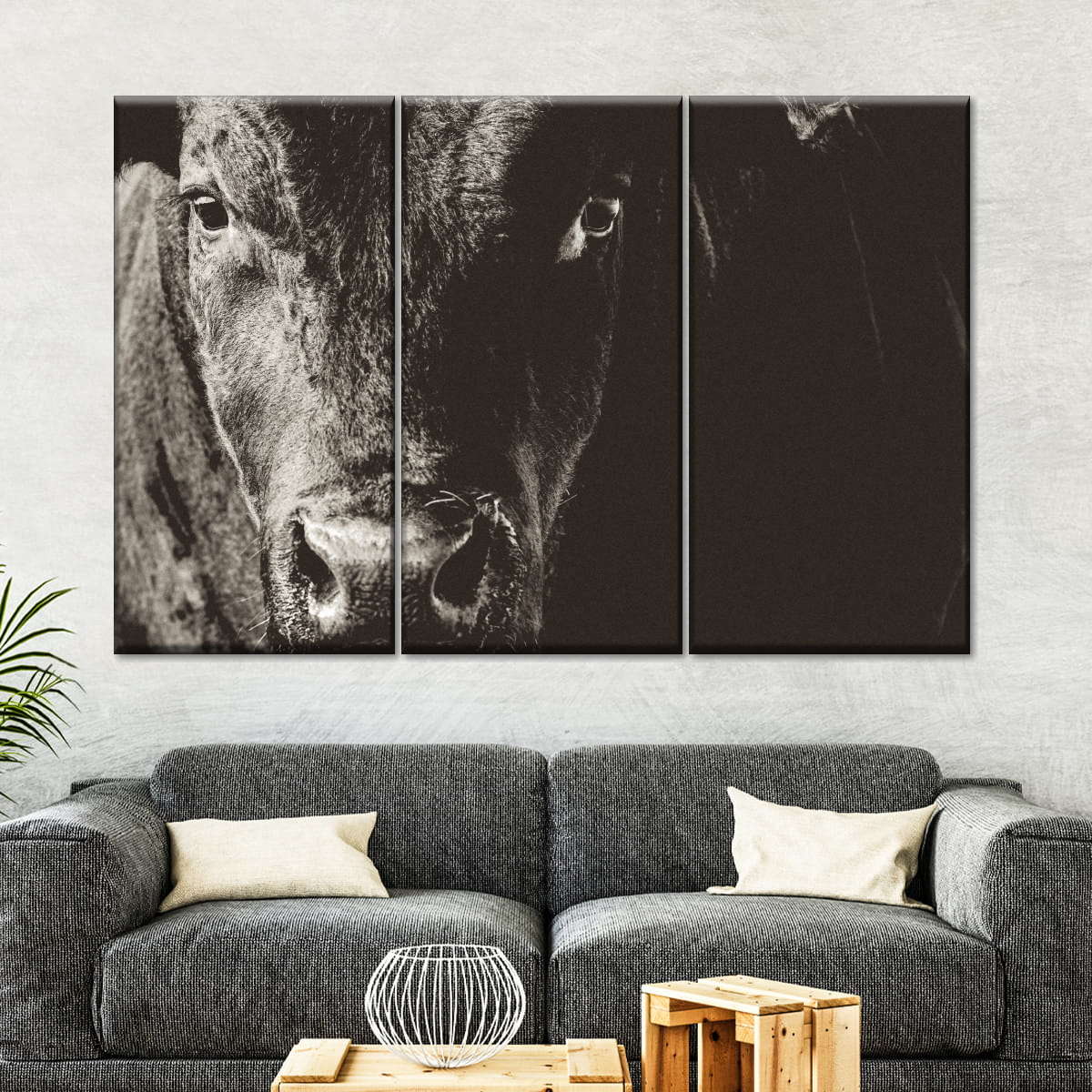 Black Angus Bull Wall Art