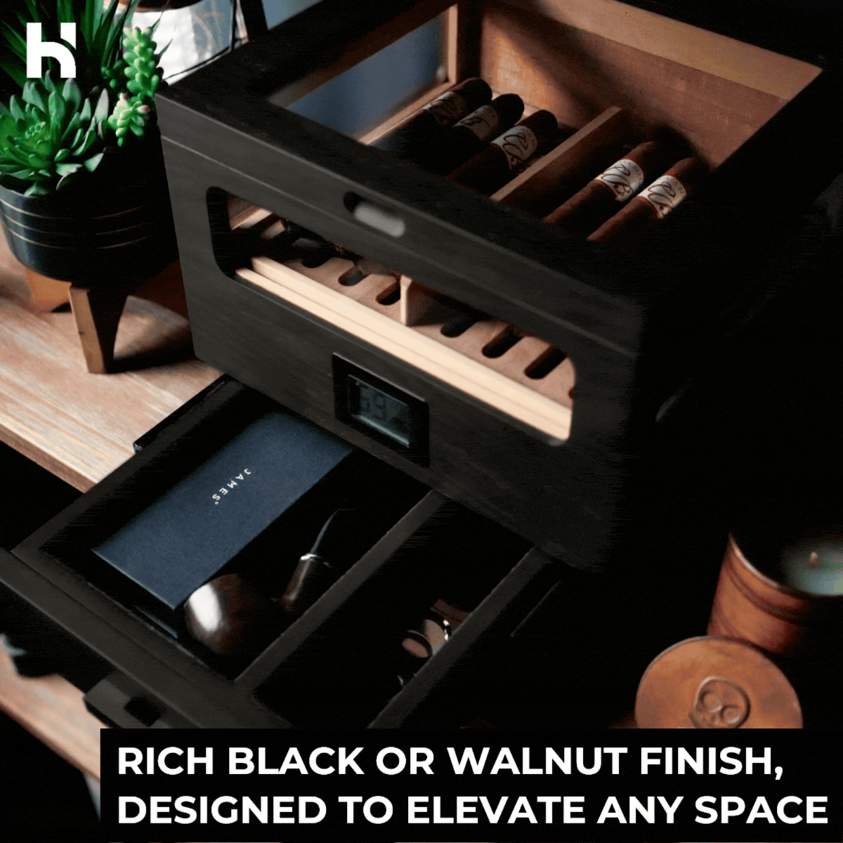 The Humidor