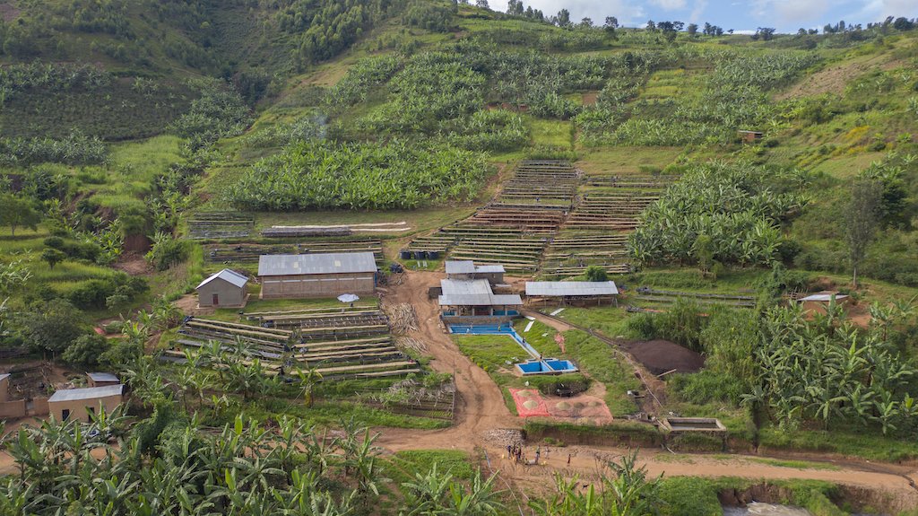 Rwanda Fugi Ubumwe Washed