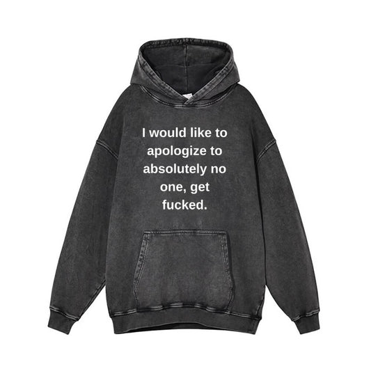 I Would Like To Apologize Vintage Washed Hoodie