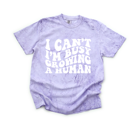 I Can't I'm Busy Growing A Human Short Sleeve T-Shirt