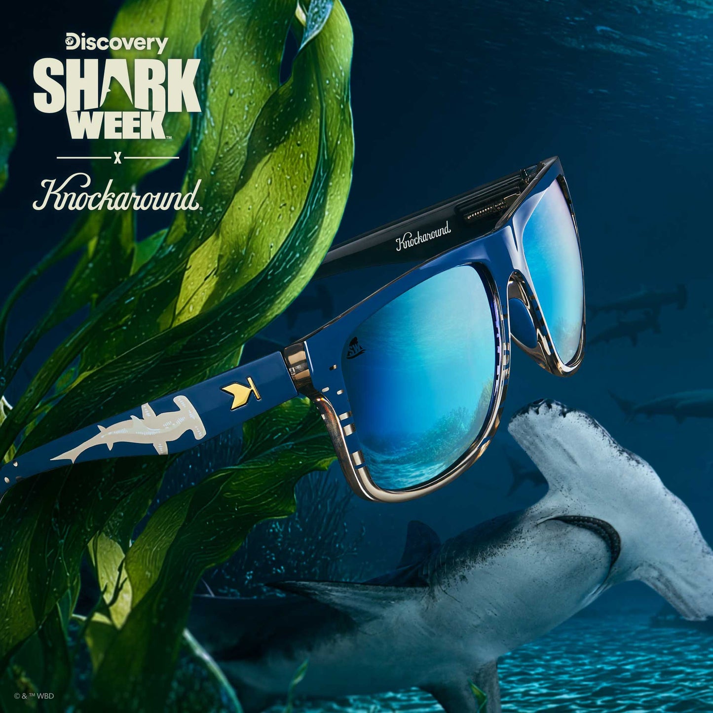 Shark Week Torrey Pines Sport 2026