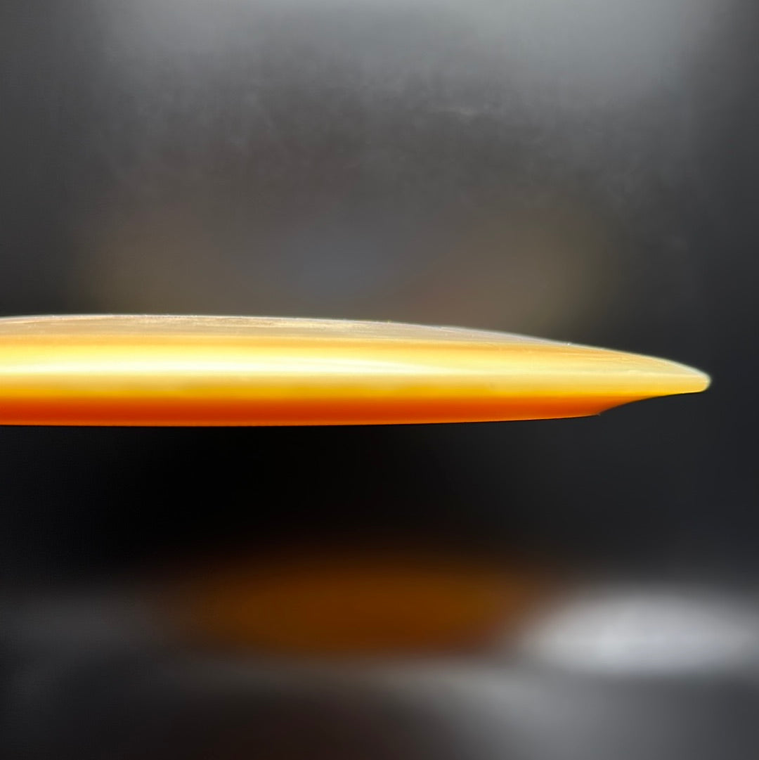 Bravo Warbird - 2023 Run