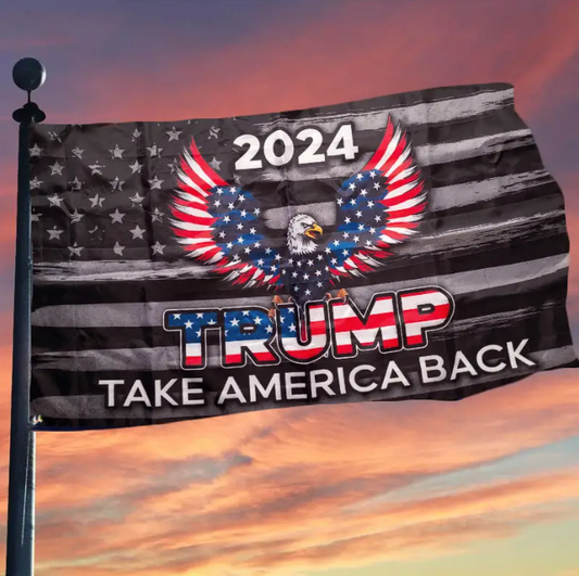 Take America Back Eagle Flag - 1034