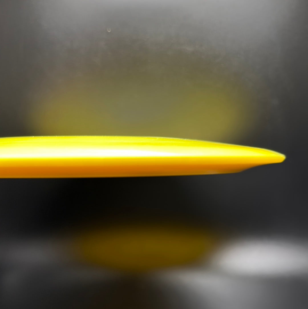 Bravo Warbird - 2023 Run