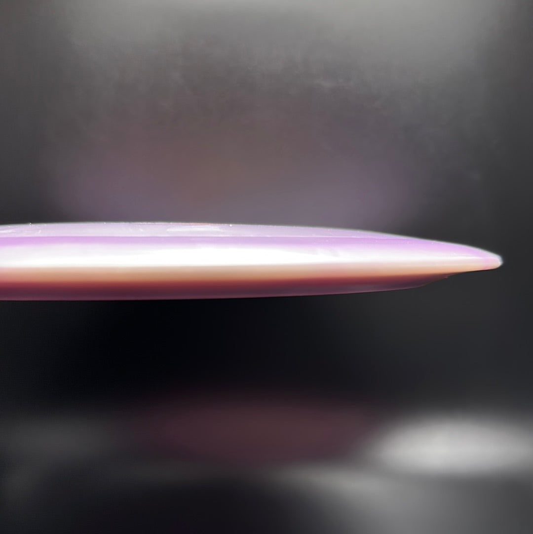 Bravo Warbird - 2023 Run