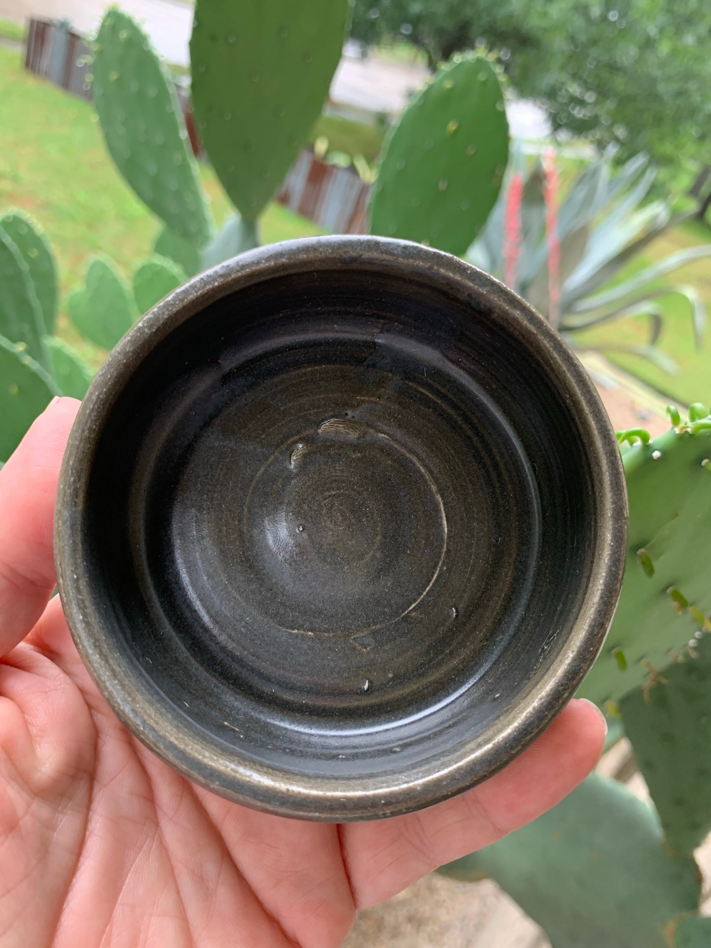 Shave Bowl