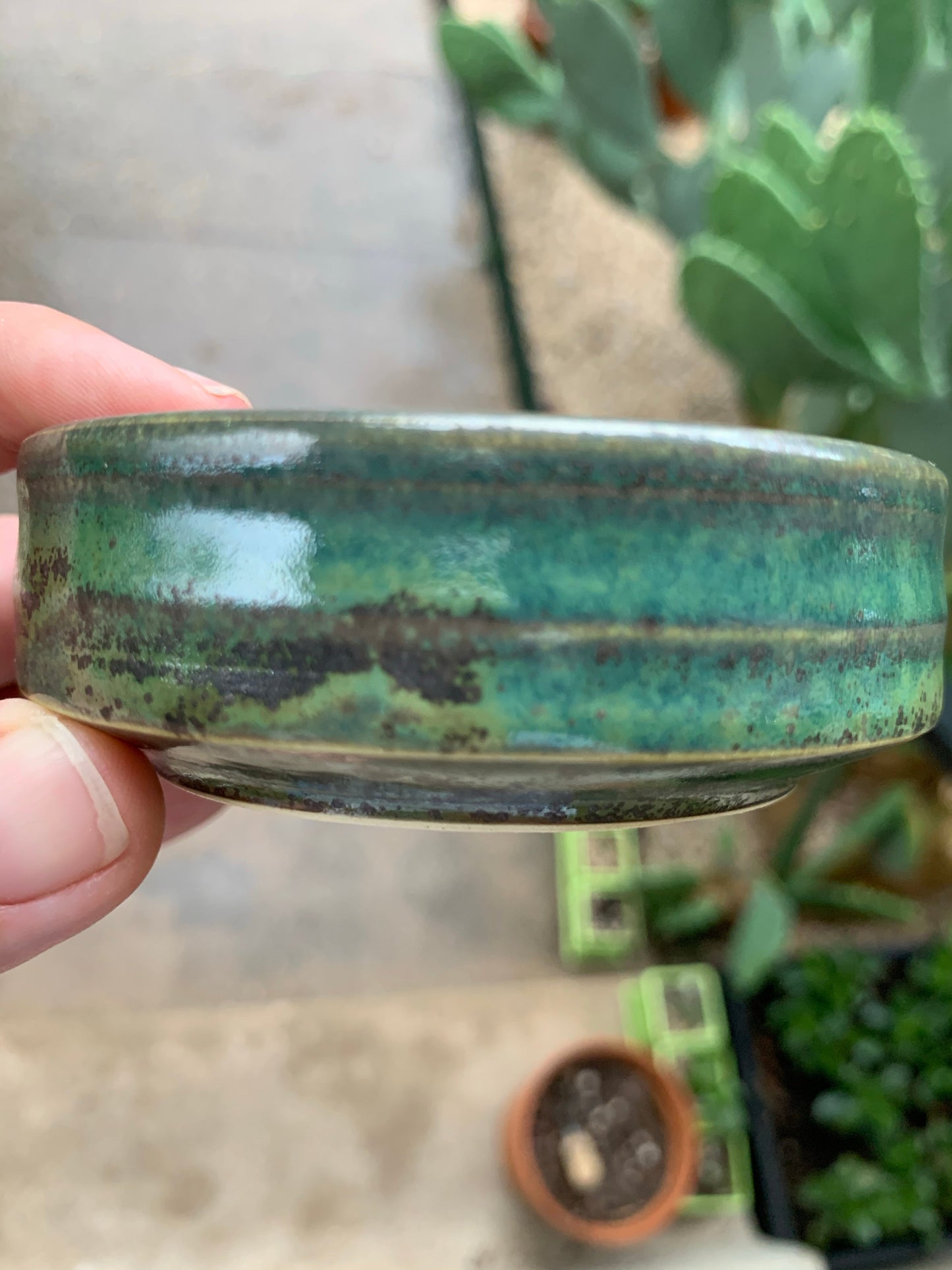 Shave Bowl