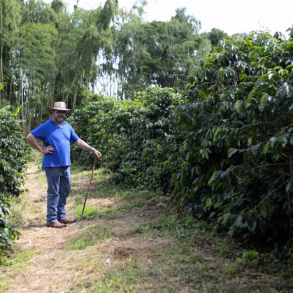 Colombia Finca Milan Culturing Nitro "Toffee" Fermentation Caturra