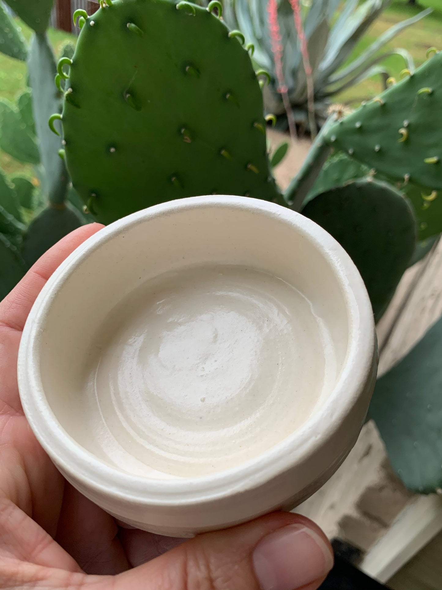 Shave Bowl