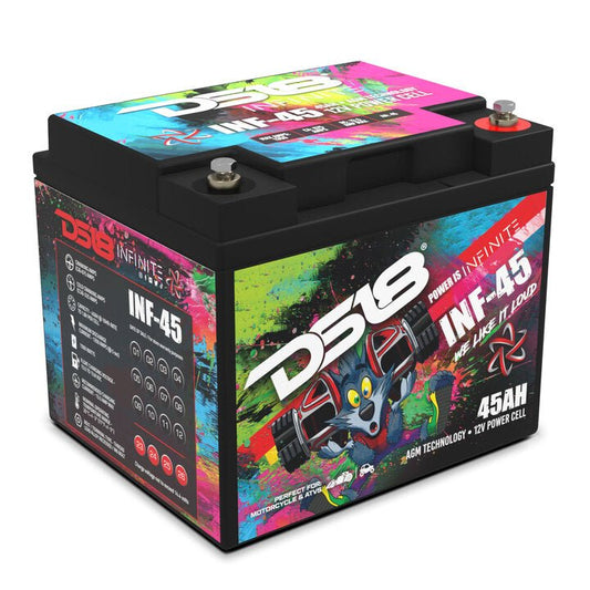 INFINITE 45 AH AGM Power Cell Battery