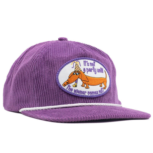 It's Not A Party Until The Wiener Comes Out