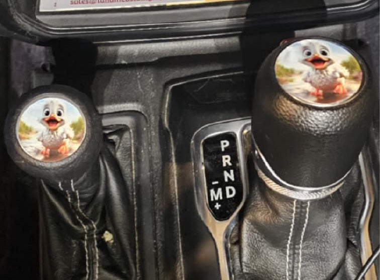 Steering wheel decal skull face