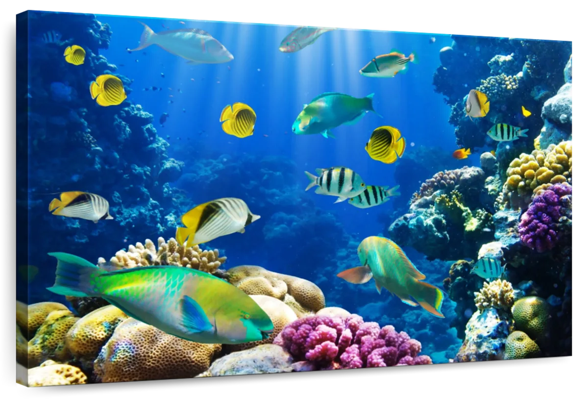 Underwater Sea Creatures Wall Art
