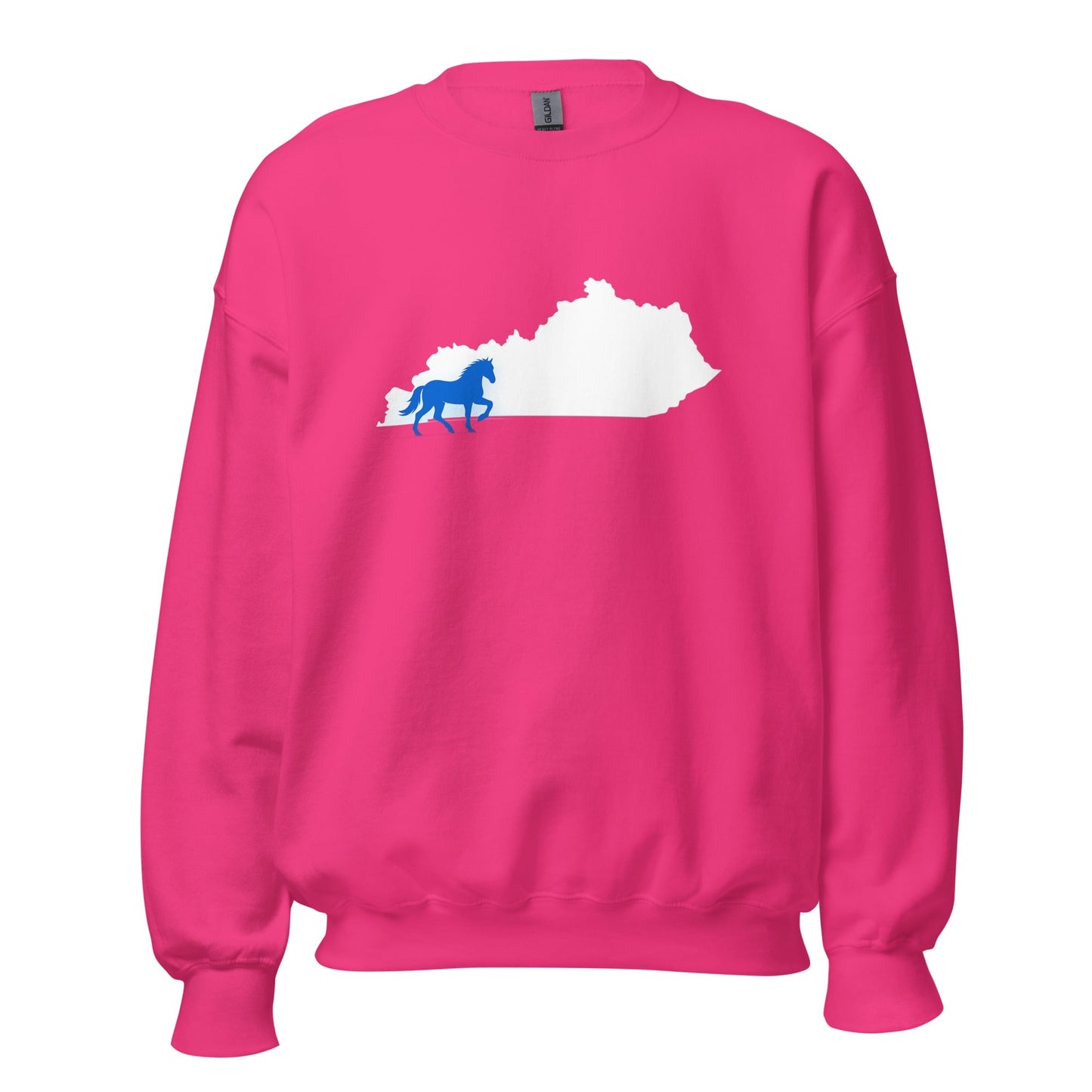 Kentucky Sweatshirt | Blue Horse State Silhouette | Unisex Classic Fit