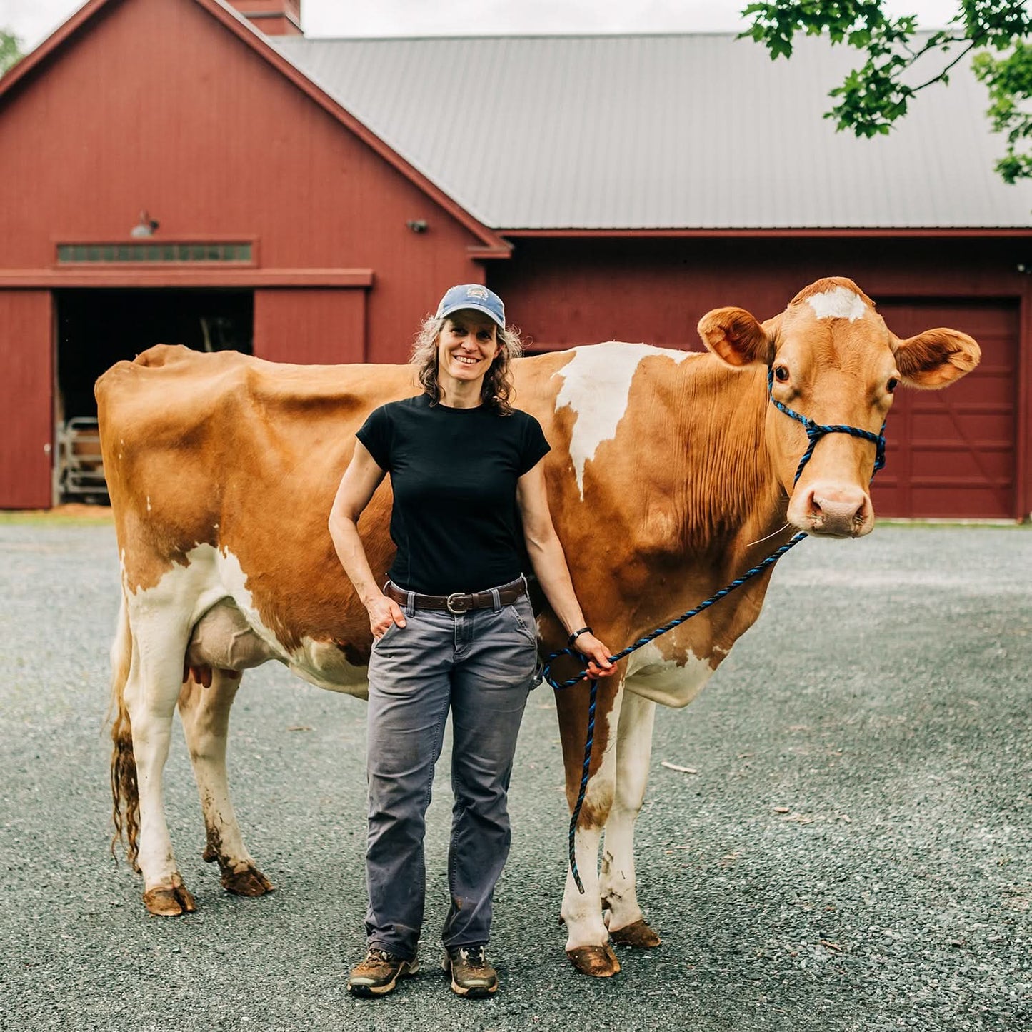 Lightweight Women's T-Shirt Crew Top - 100% Merino Wool