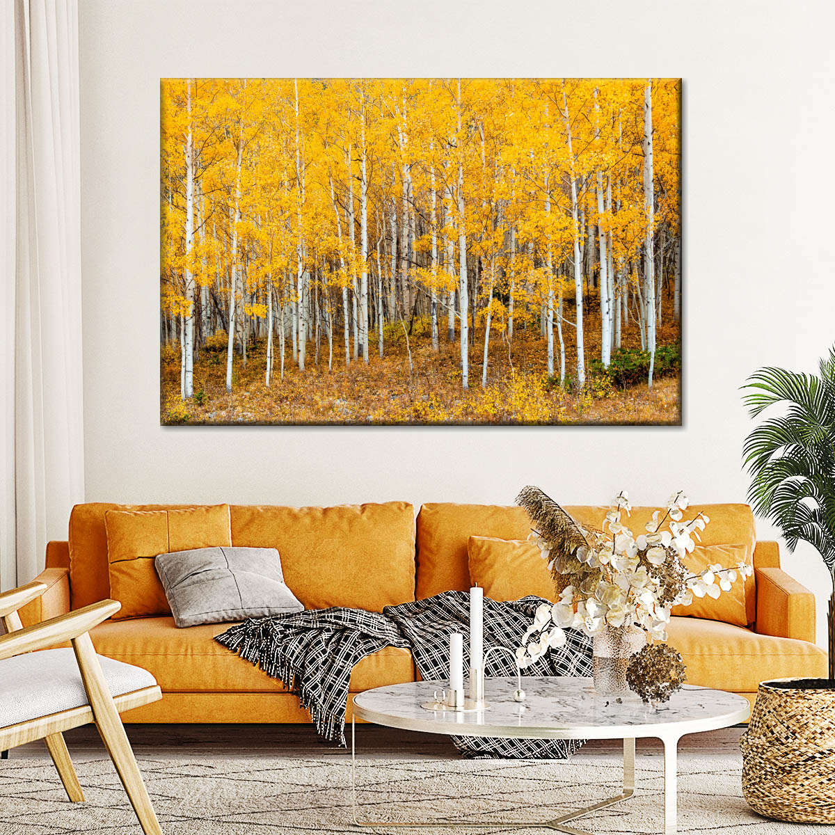 Colorado Aspen Forest Wall Art