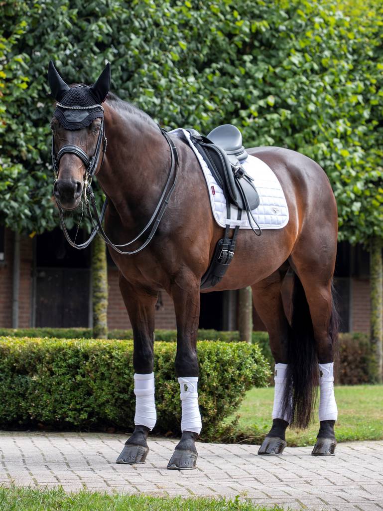 LeMieux Loire Classic Dressage Square