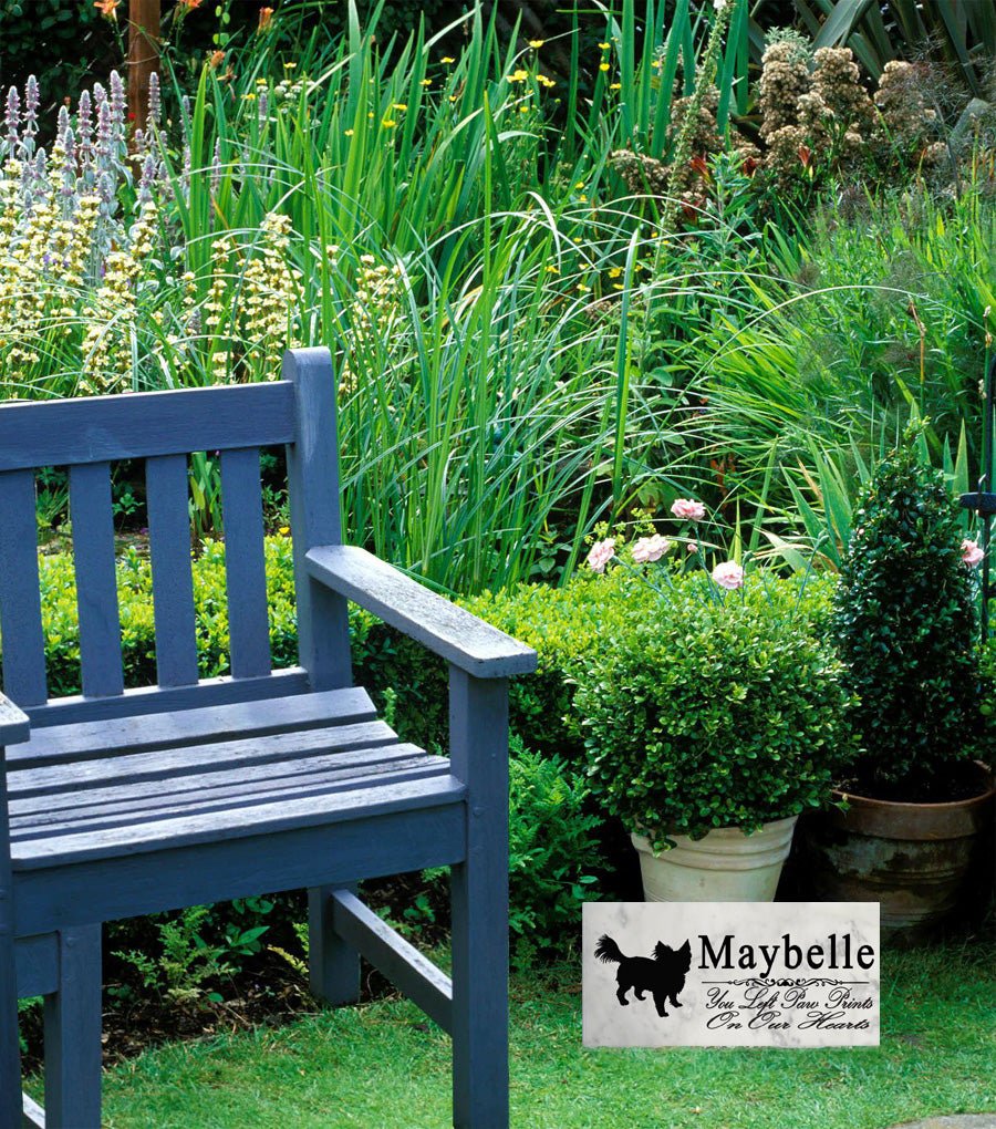 Personalized Long-Haired Chihuahua Memorial Stone – Marble Garden Marker, FREE 2-Day Shipping