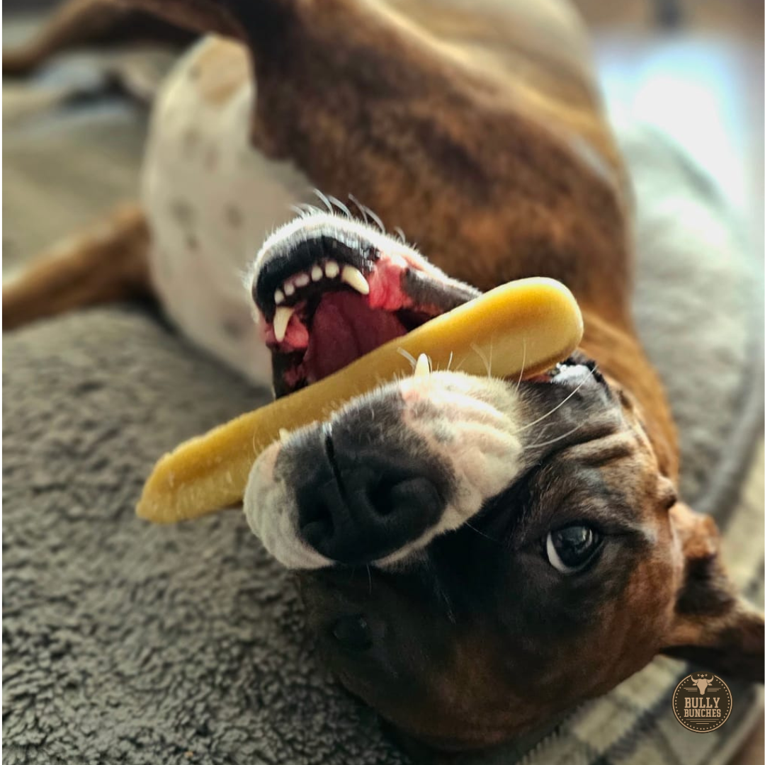 Himalayan Yak Chew (LARGE)