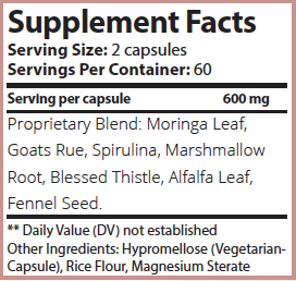 Lush Leche - Breastfeeding Supplement