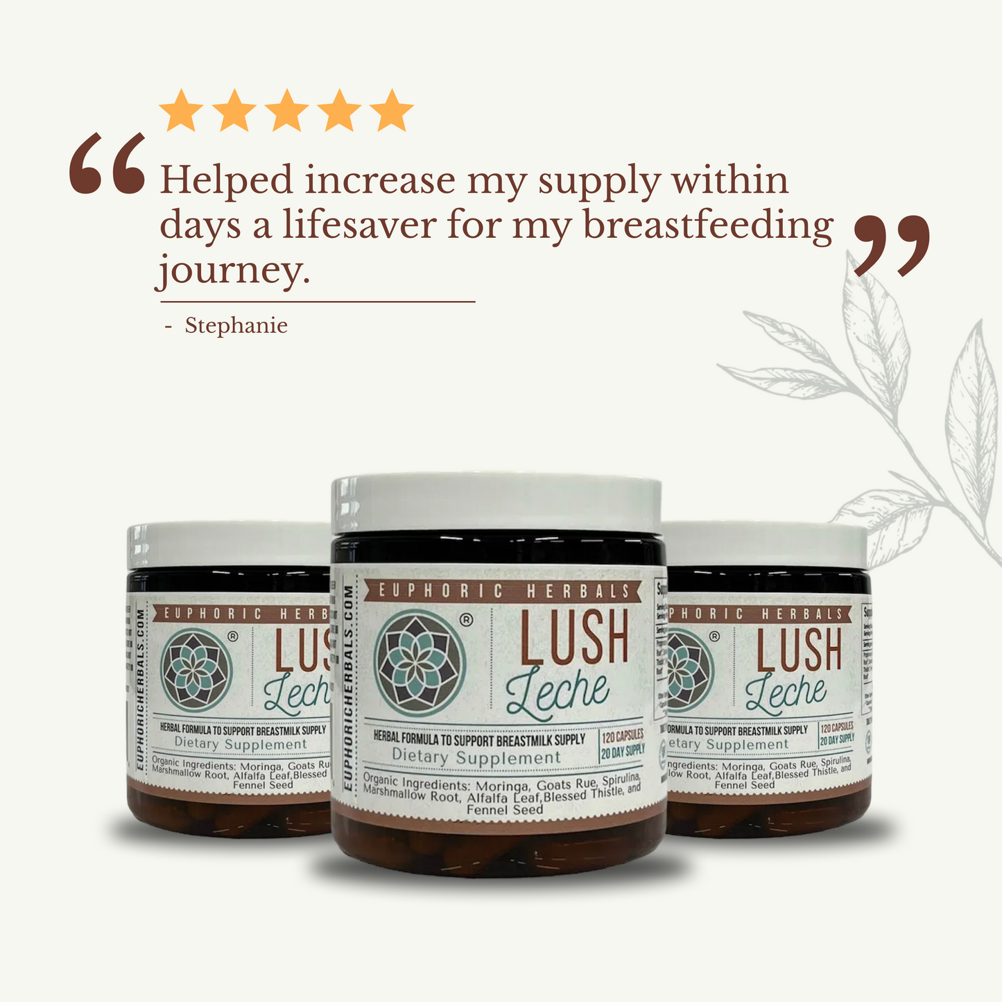Lush Leche - Breastfeeding Supplement