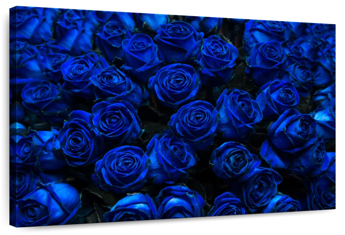 Royal Blue Roses Wall Art