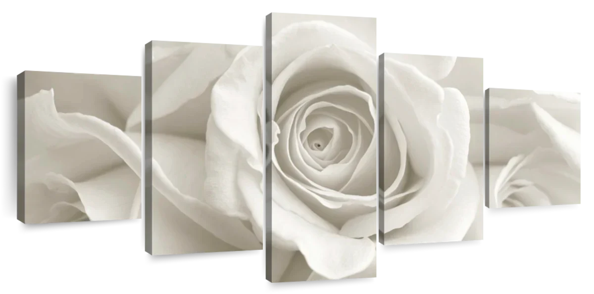 Pure White Roses Wall Art