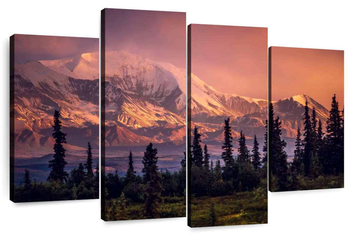 Denali Mountains And Forest Wall Art