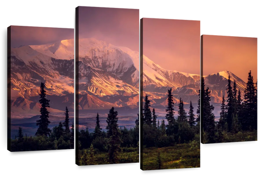 Denali Mountains And Forest Wall Art