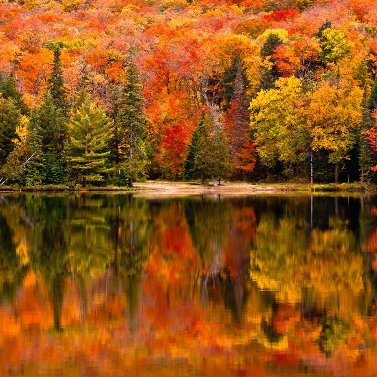 Canisbay Lake Wall Art