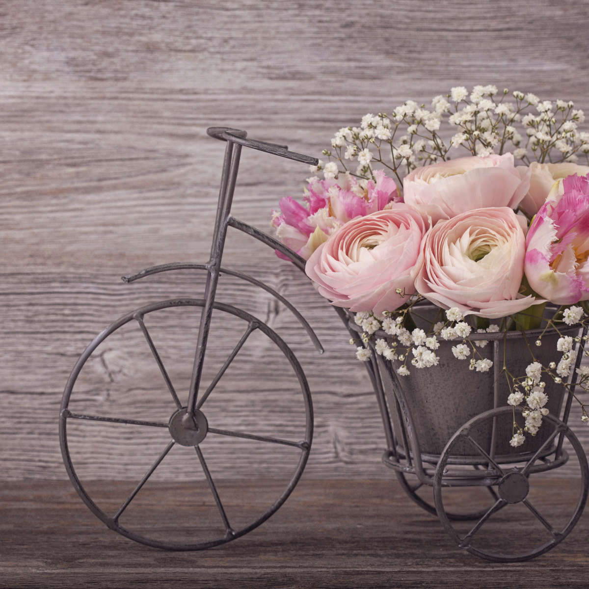 Ranunculus Bicycle Vase Wall Art