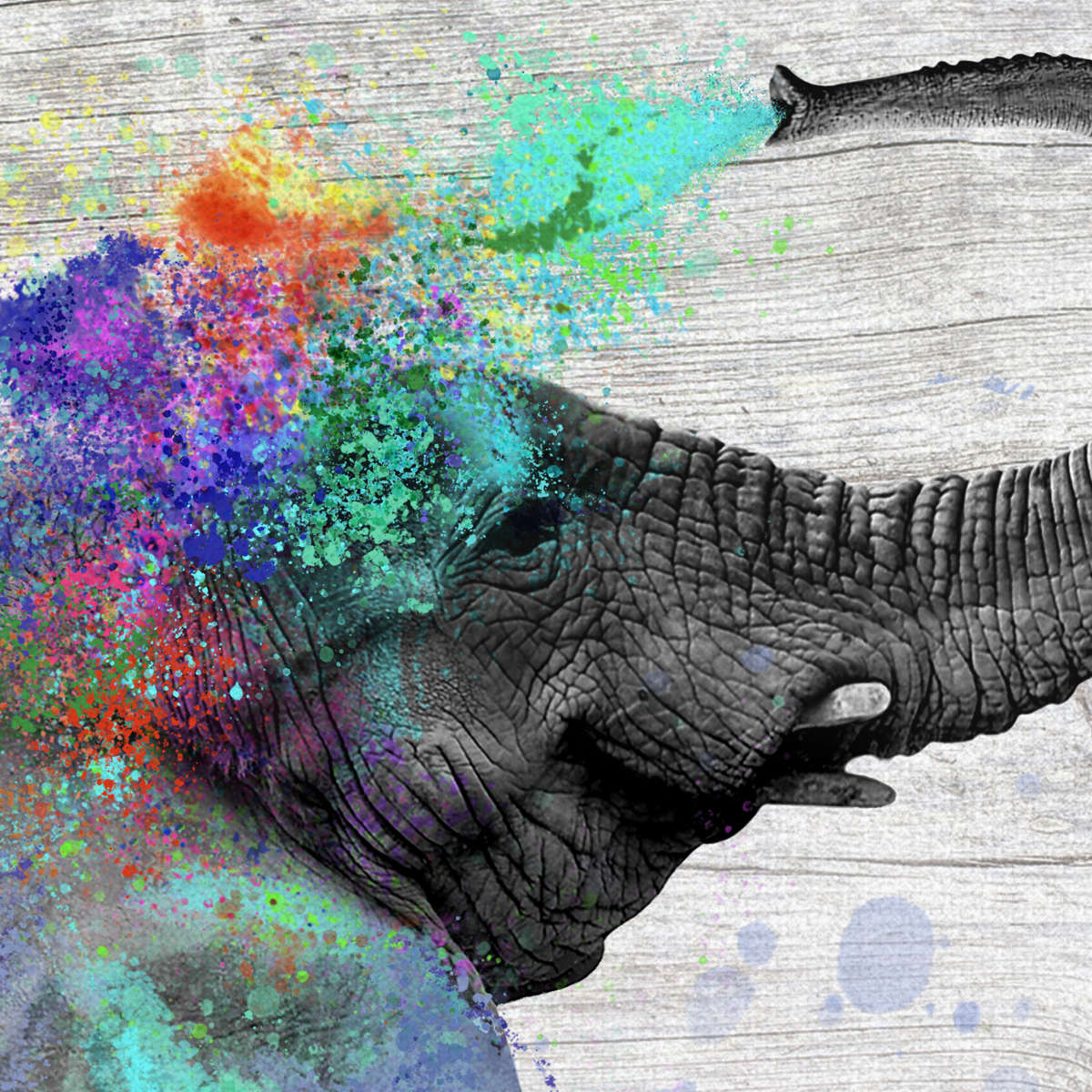 Colorful Elephant Splash Wall Art