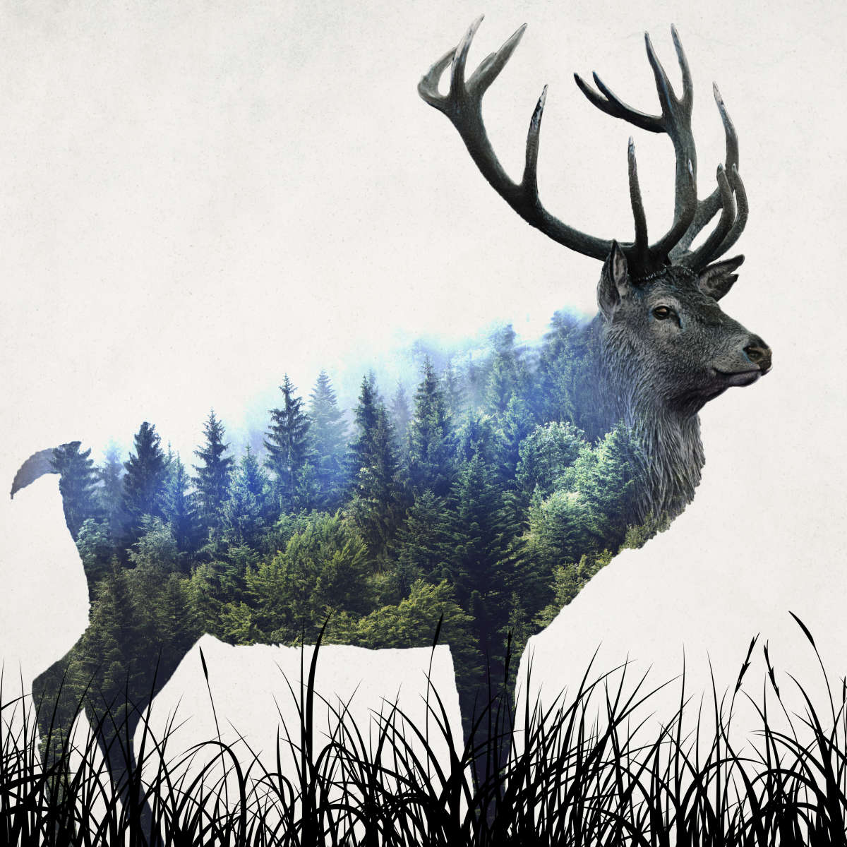 Abstract Forest Buck Wall Art