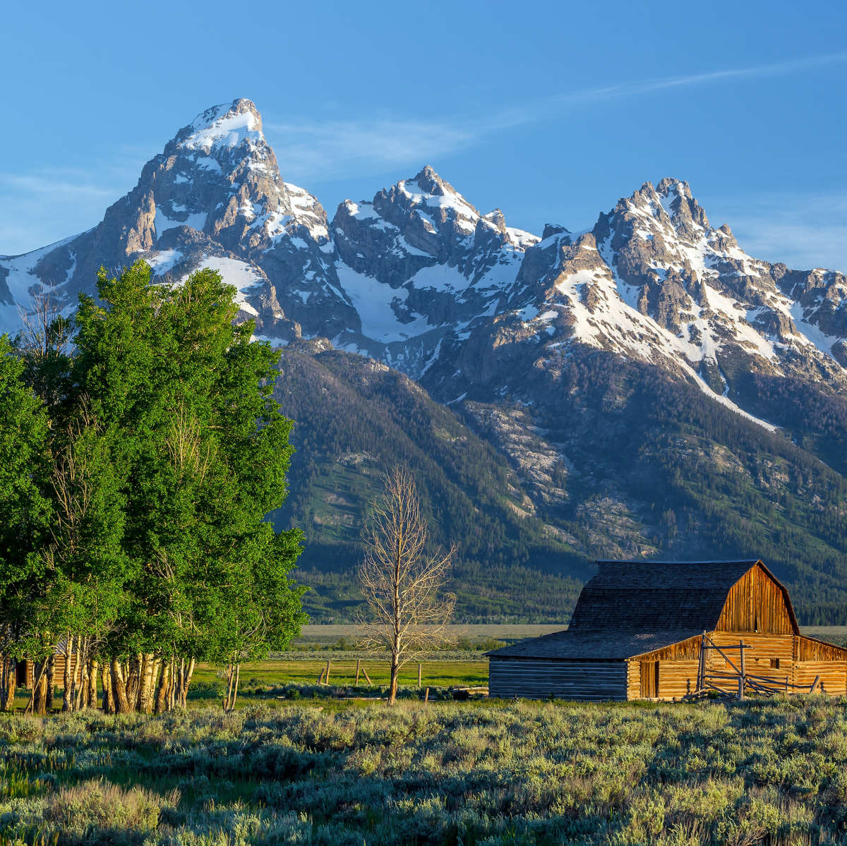 Grand Teton Mountains Barn Wall Art