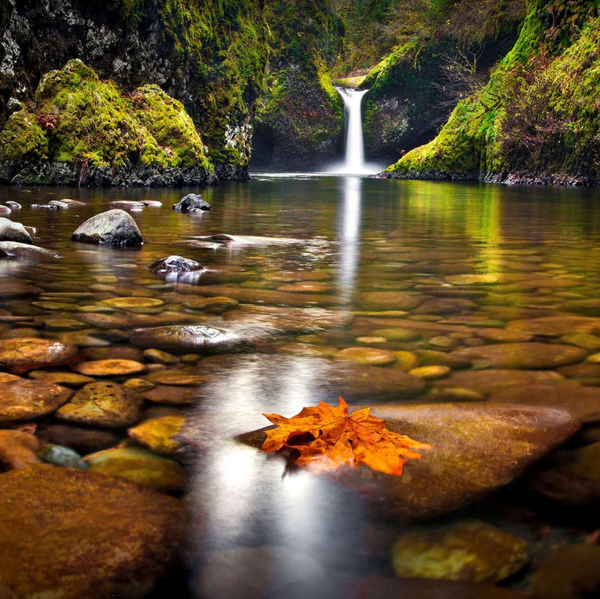 Punch Bowl Waterfall Wall Art