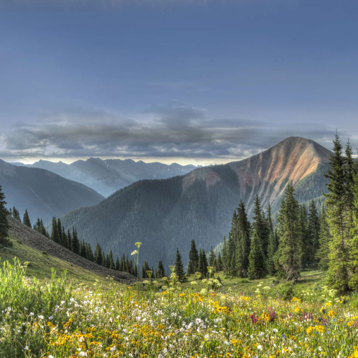 Rocky Mountain National Park Meadow Wall Art