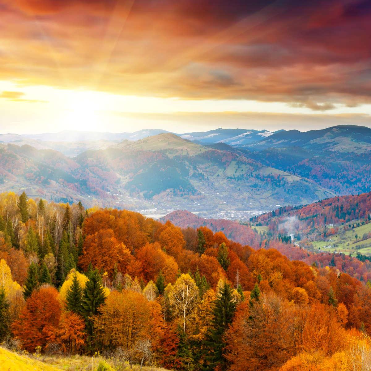 Mountain With Trees Wall Art