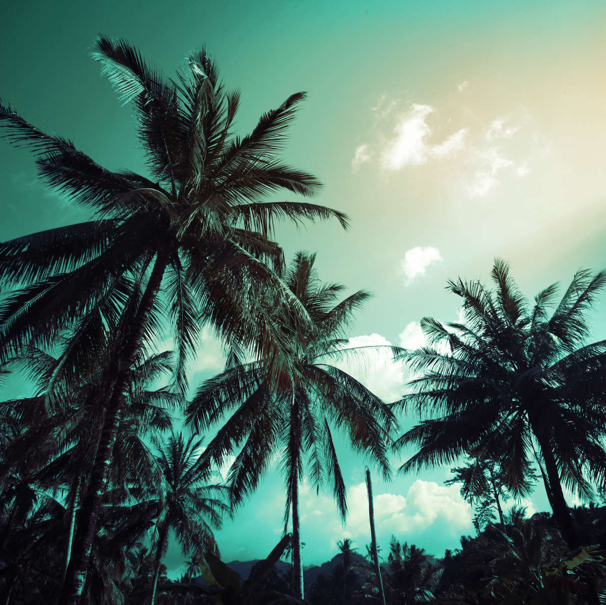 Retro Style Palm Trees Wall Art