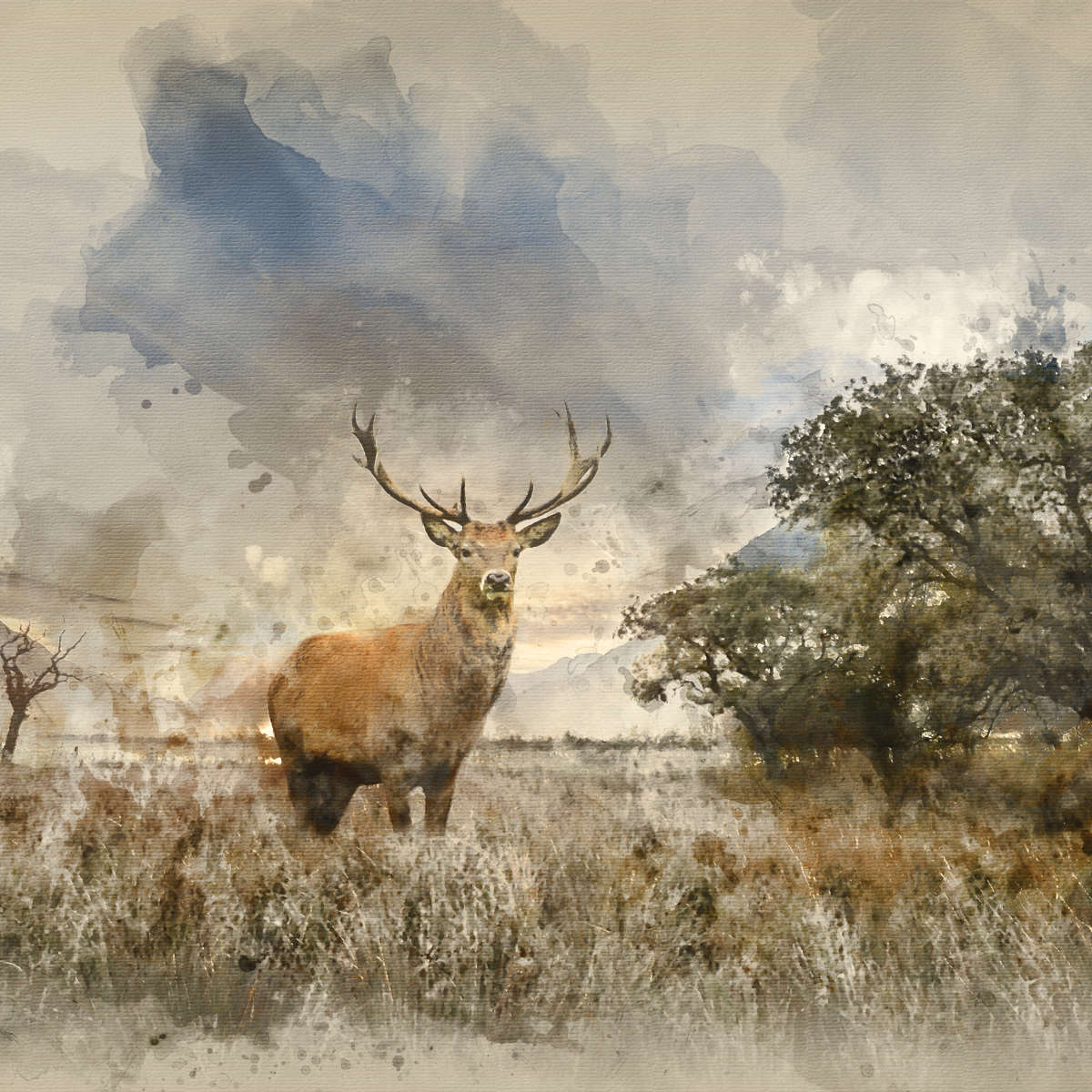 Vintage Stag Wall Art