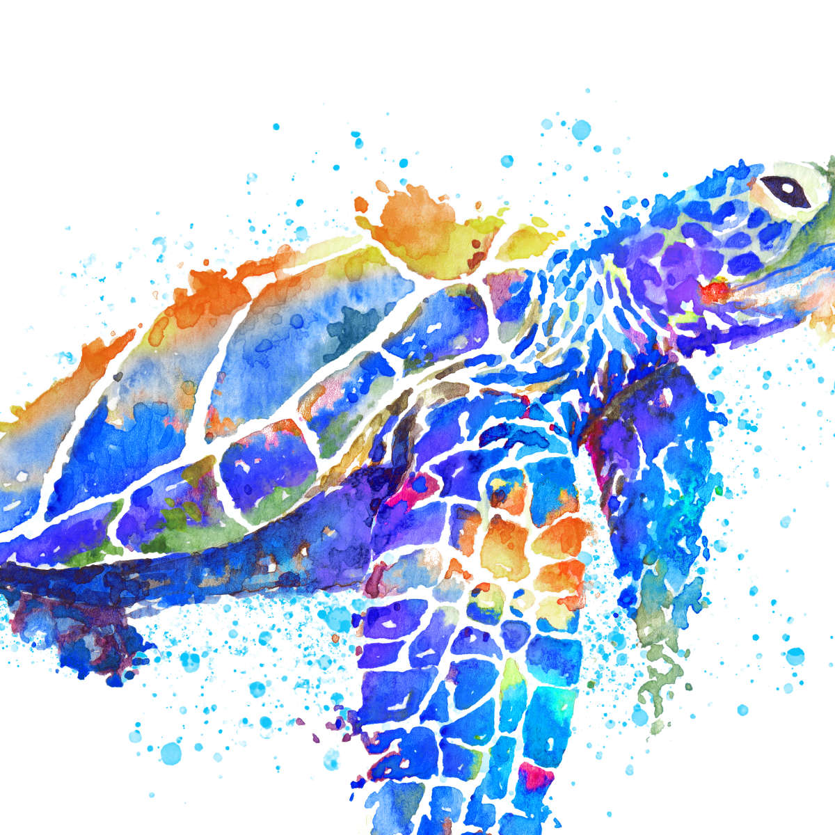 Sea Turtle Watercolor Wall Art