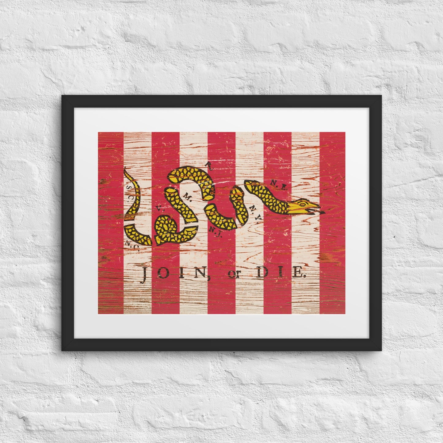 Join, or Die Framed Matted Print