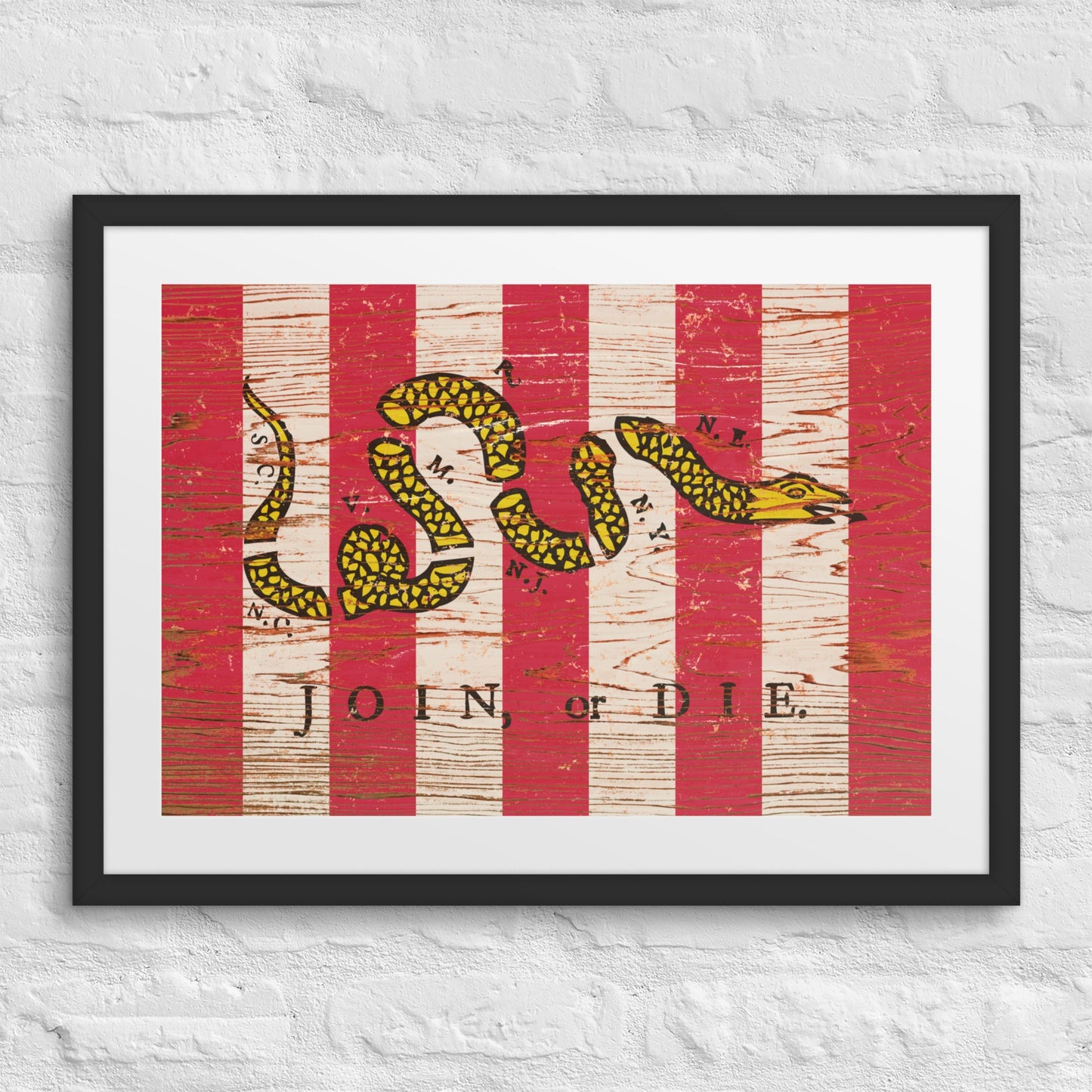 Join, or Die Framed Matted Print