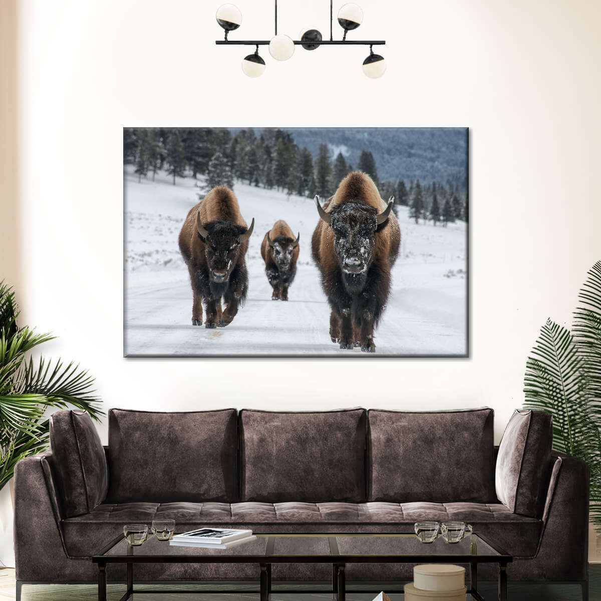 Bison Family In Yellowstone National Park Wall Art