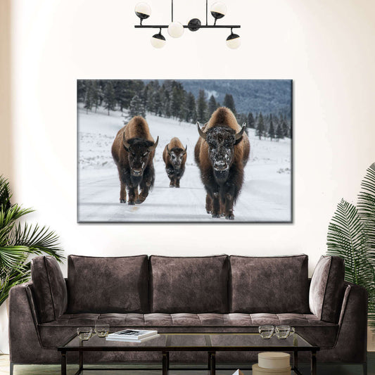 Bison Family In Yellowstone National Park Wall Art